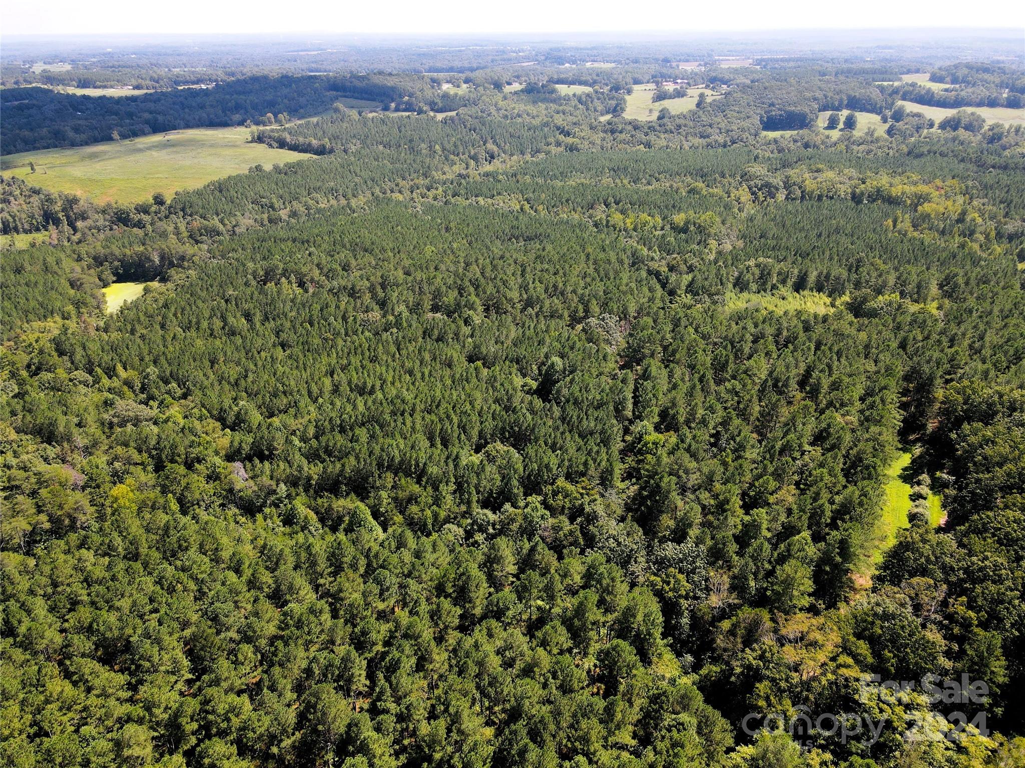 5 Stroud Road Ellenboro, NC 28040 - Photo 32 of 44
