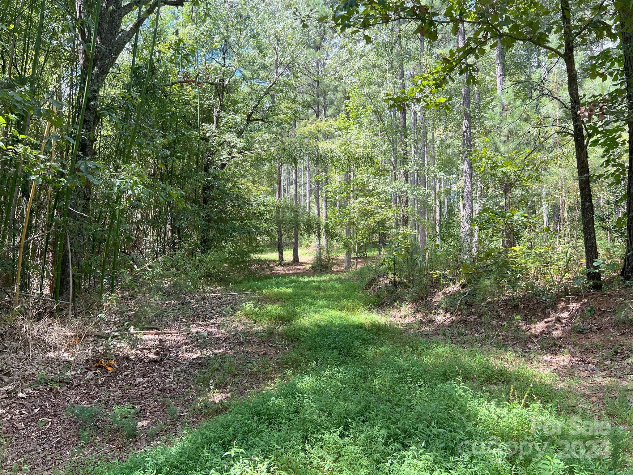 5 Stroud Road Ellenboro, NC 28040 - Photo 38 of 44