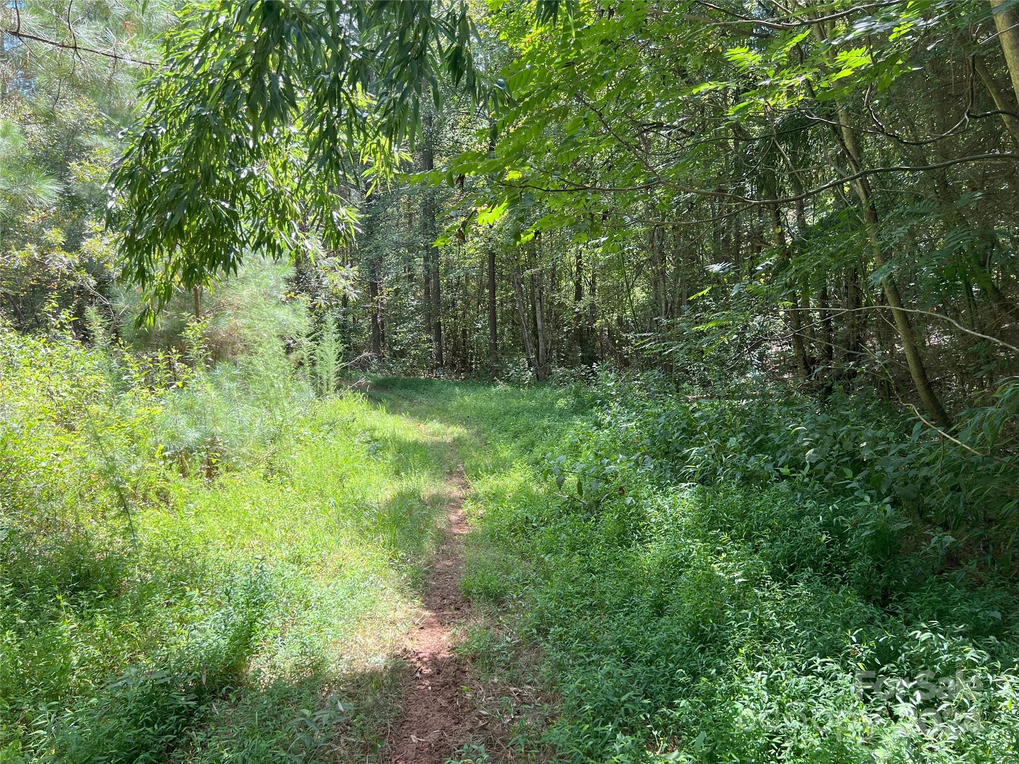5 Stroud Road Ellenboro, NC 28040 - Photo 40 of 44