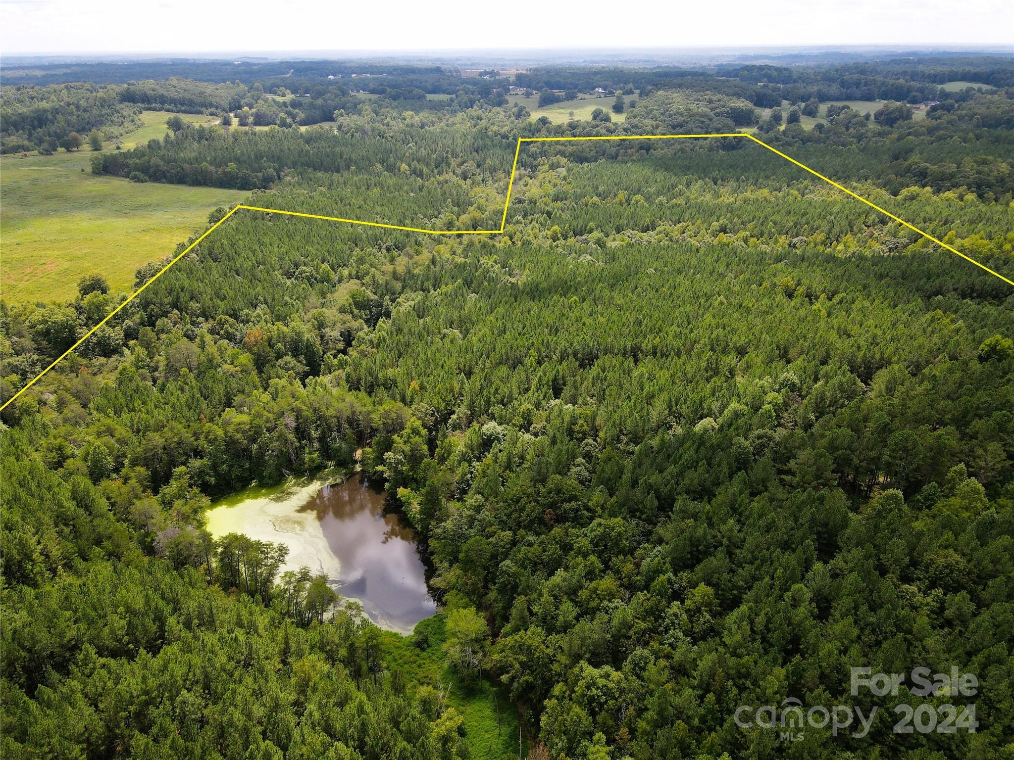 5 Stroud Road Ellenboro, NC 28040 - Photo 4 of 44