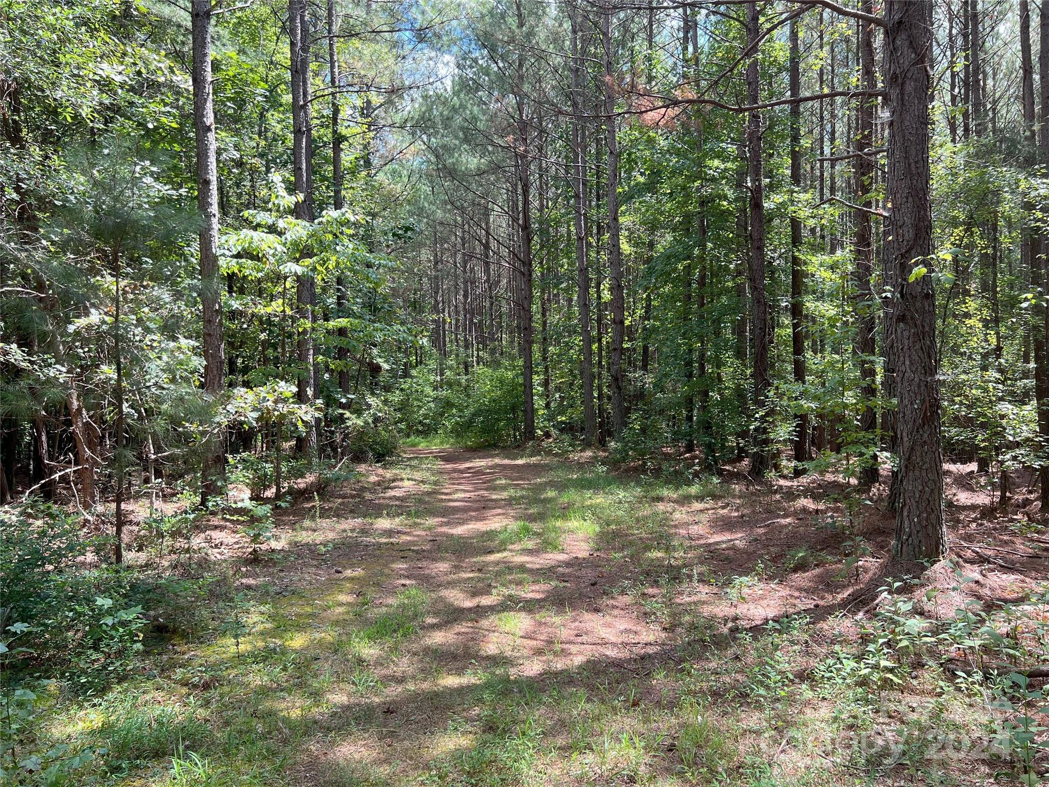 5 Stroud Road Ellenboro, NC 28040 - Photo 43 of 44