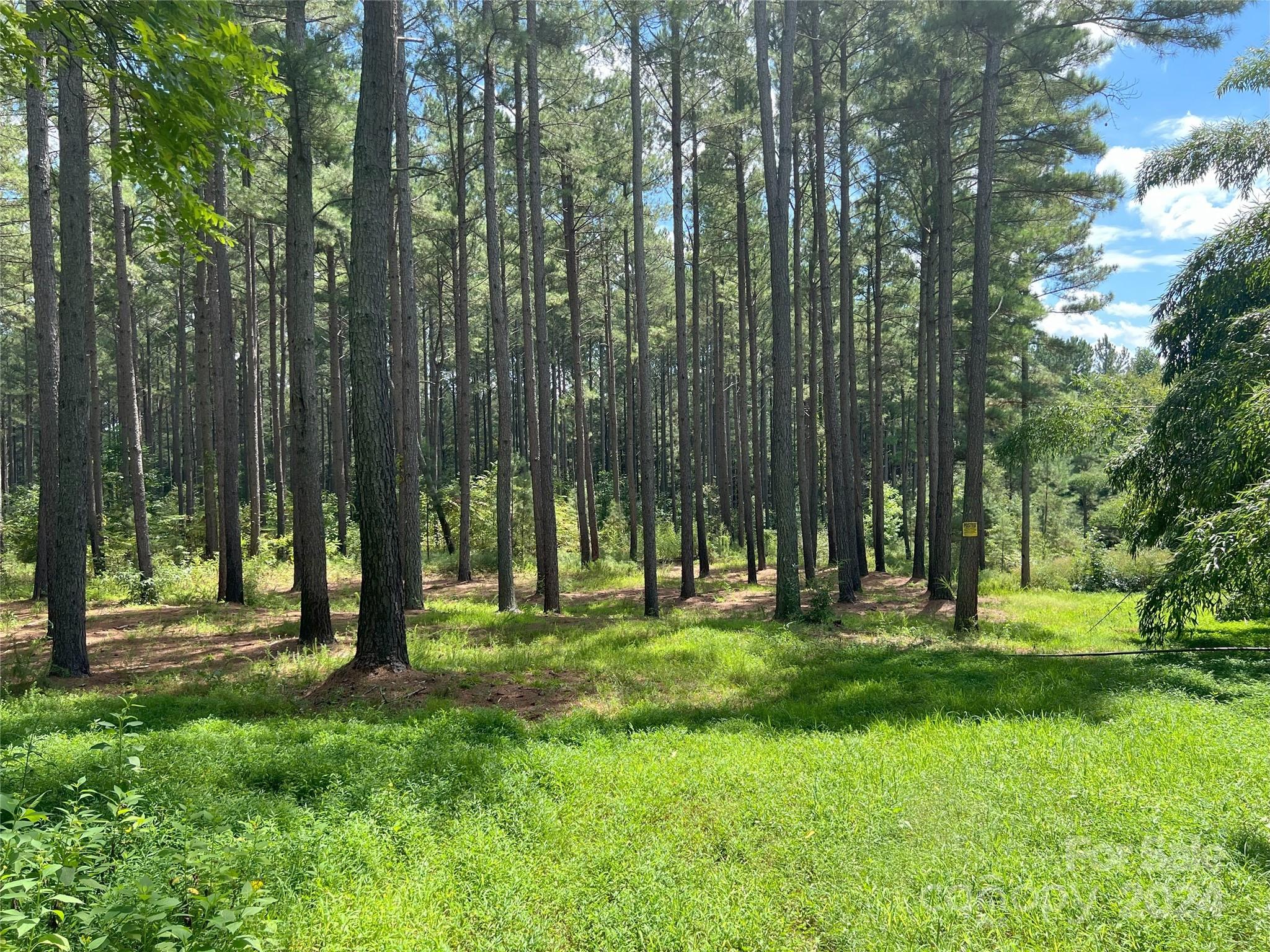 5 Stroud Road Ellenboro, NC 28040 - Photo 5 of 44