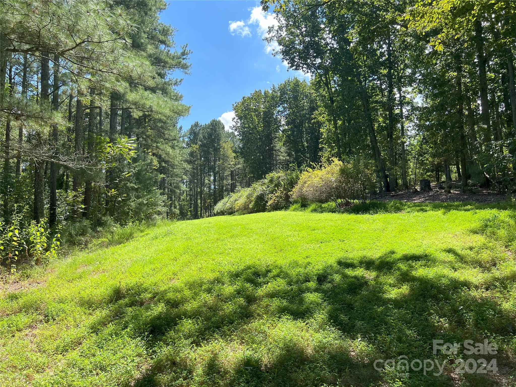 5 Stroud Road Ellenboro, NC 28040 - Photo 7 of 44