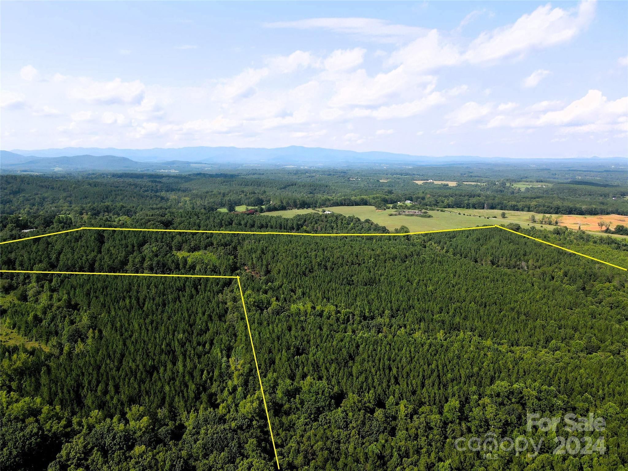 5 Stroud Road Ellenboro, NC 28040 - Photo 9 of 44