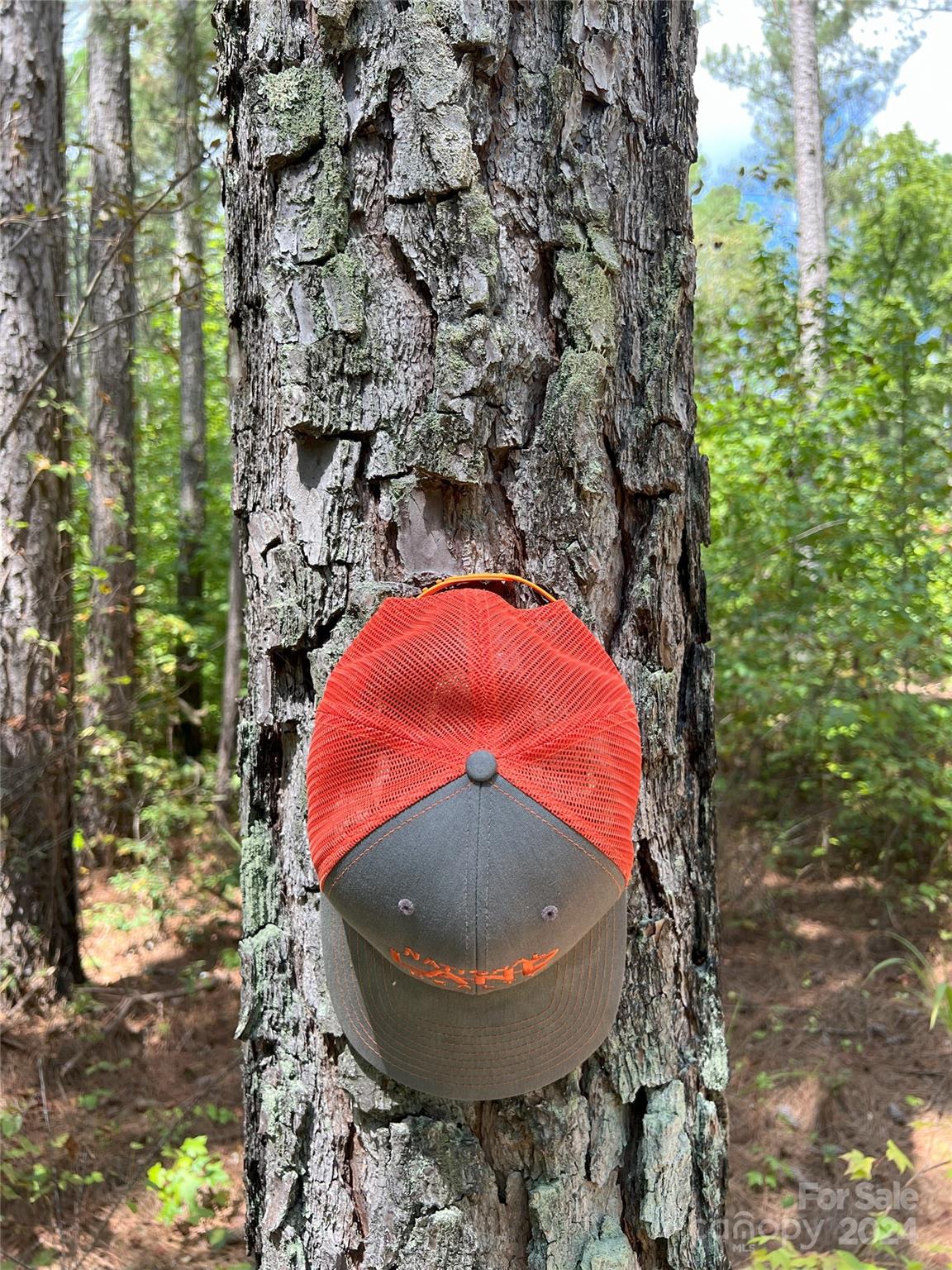 5 Stroud Road Ellenboro, NC 28040 - Photo 10 of 44