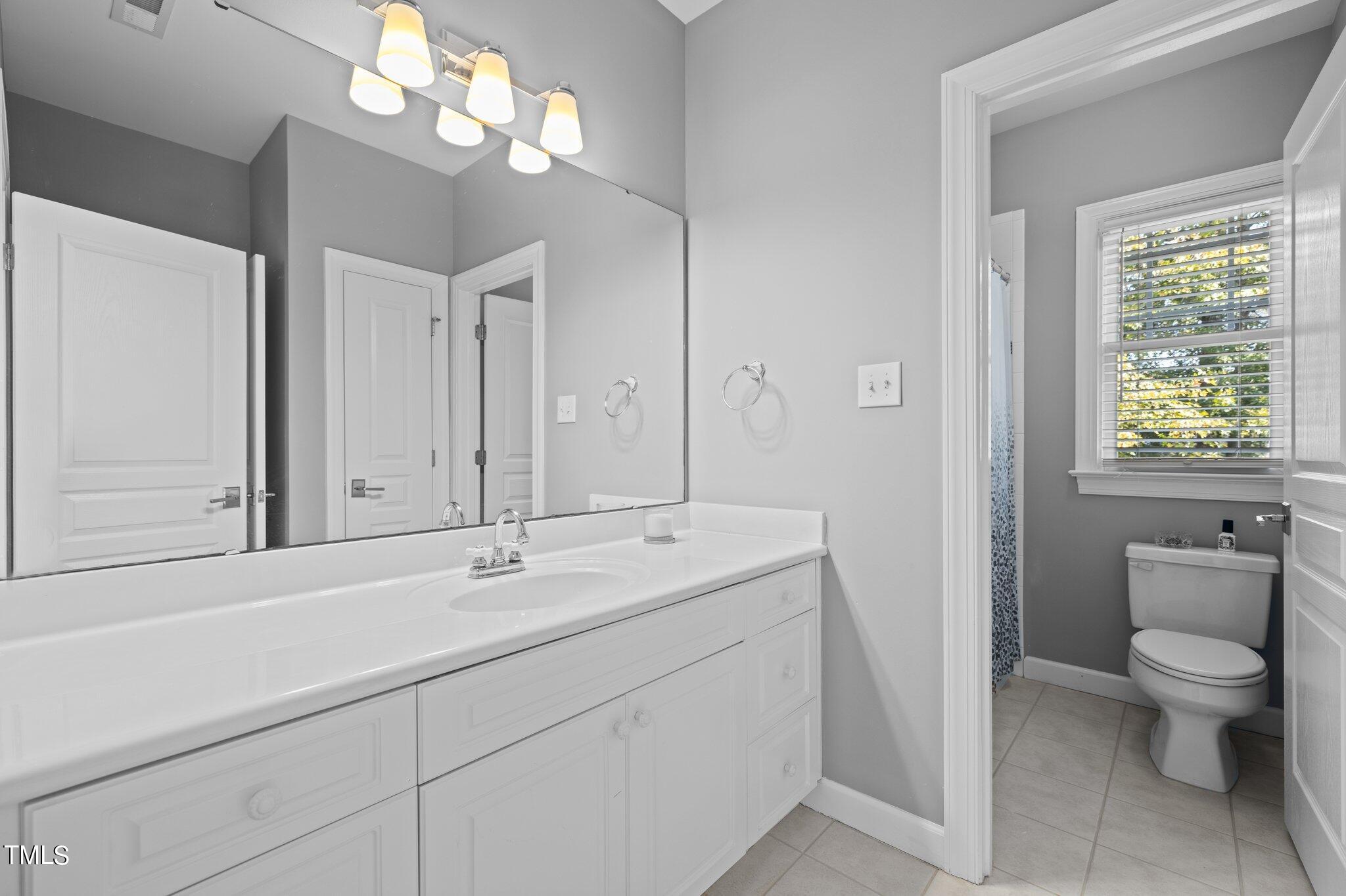 8818 Fidelis Lane Raleigh, NC 27613 - Photo 64 of 78 a bathroom with a sink a toilet and a mirror