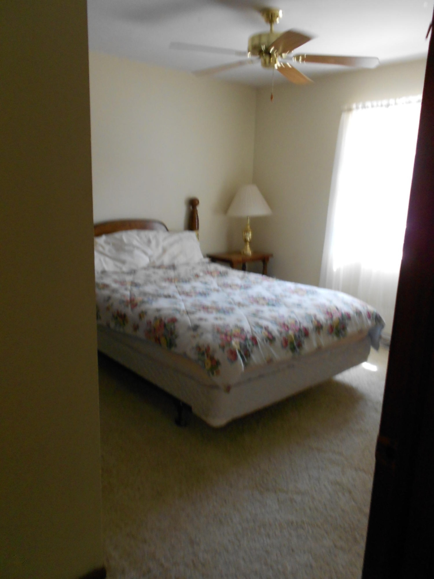8863 East Ruth Drive Branch, MI 49402 - Photo 13 of 18 2010-12-31 23.00.00-421