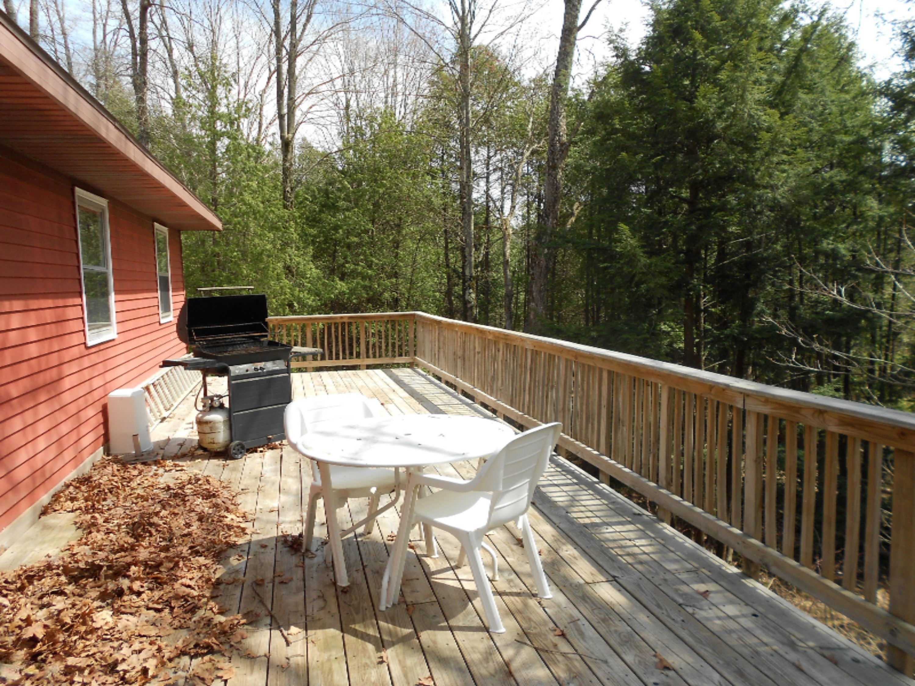 8863 East Ruth Drive Branch, MI 49402 - Photo 3 of 18 2010-12-31 23.00.00-429
