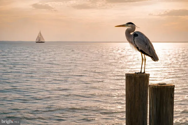 a view of outside space and ocean view