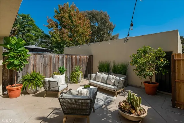 a view of a patio with couches and a potted plants