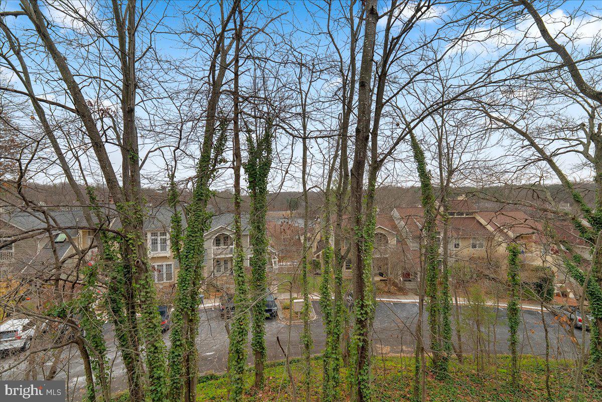 11146 Beaver Trail Court Reston, VA 20191 - Photo 17 of 17 a view of a city from a tree