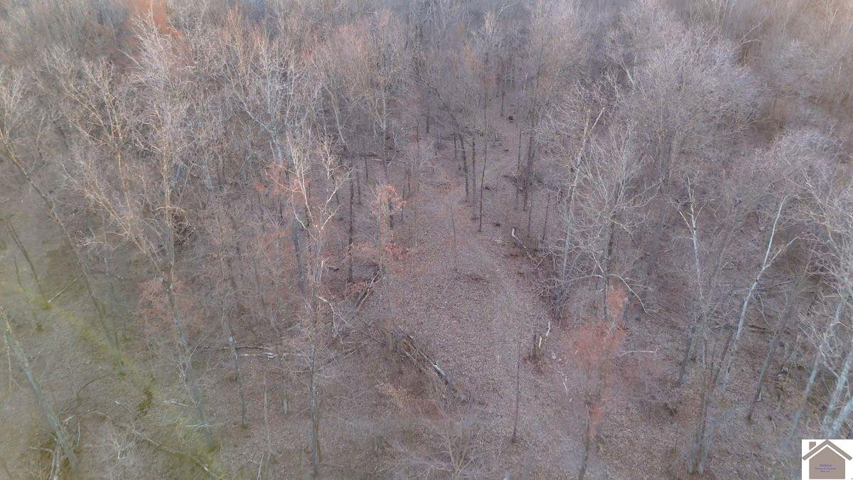 0 Wray Road Wingo, KY 42088 - Photo 8 of 39 Photo 8