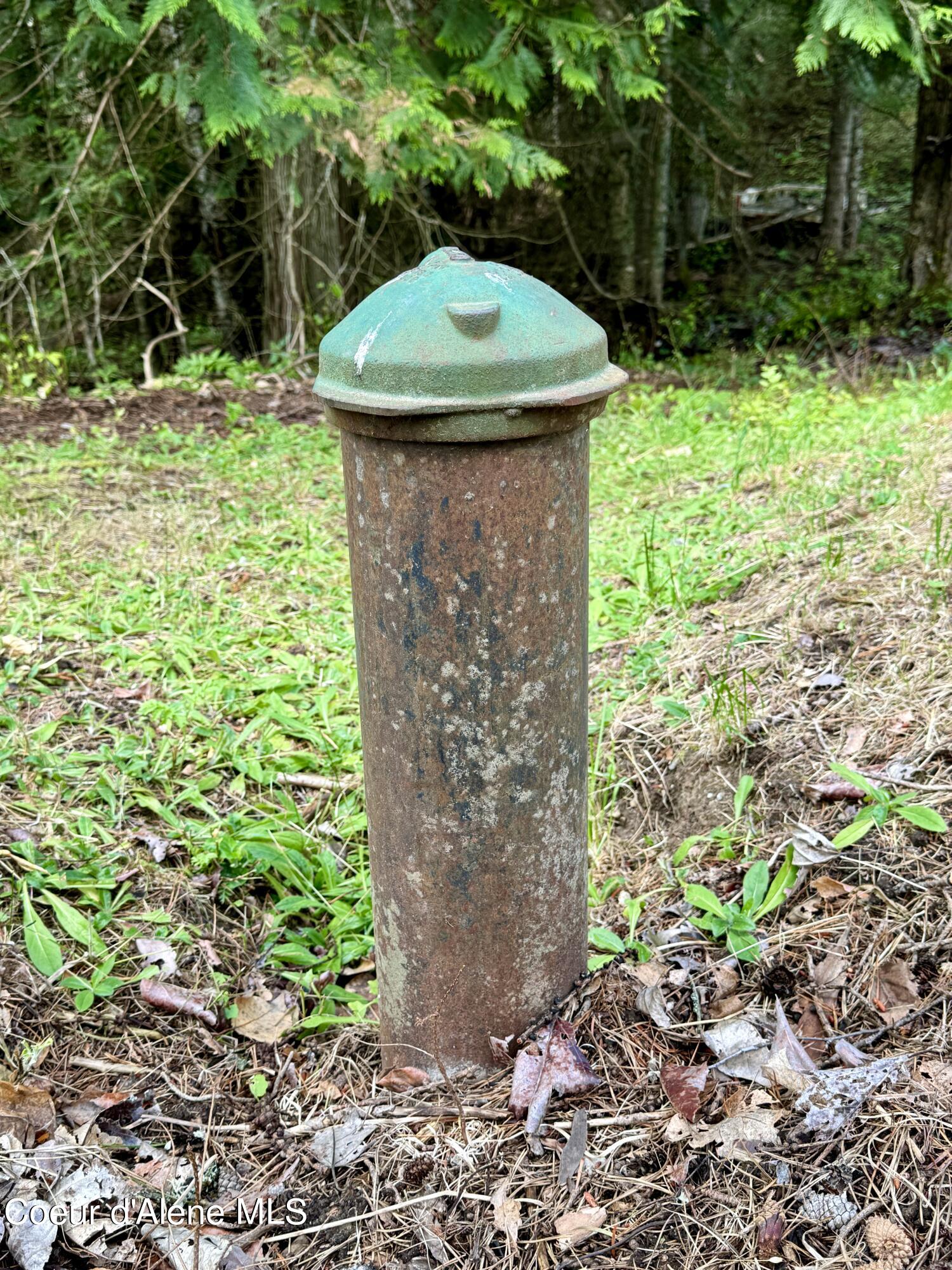 3897 Upper Gold Creek Road Sandpoint, ID 83864 - Photo 36 of 36 IMG_7148