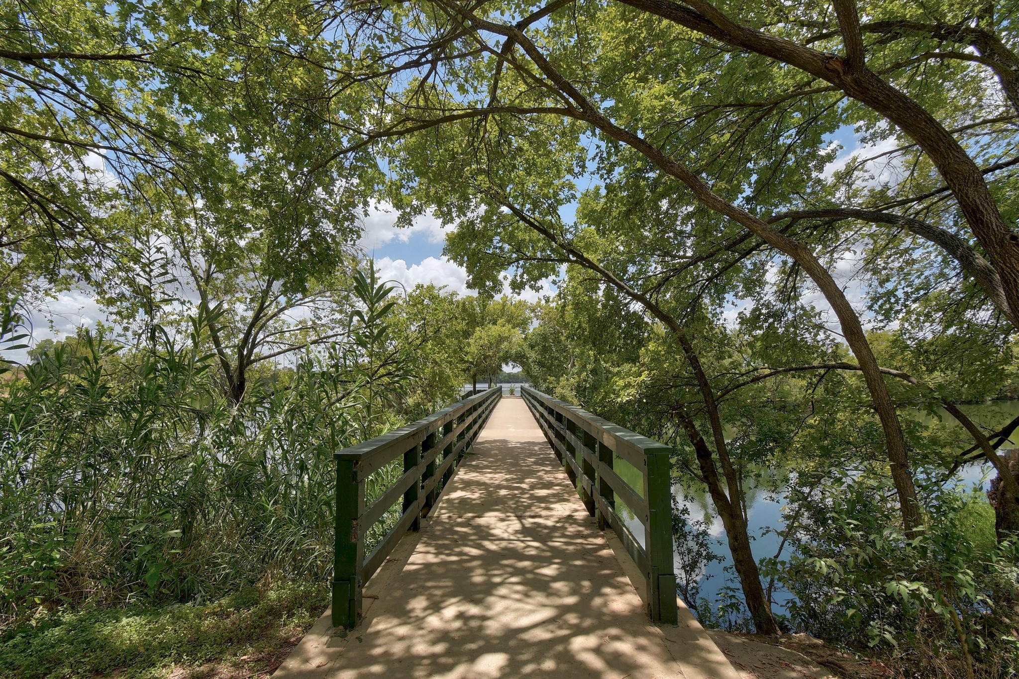 300 Bowie Street, Unit 2902 Austin, TX 78703 - Photo 38 of 40 a view of backyard with sitting area
