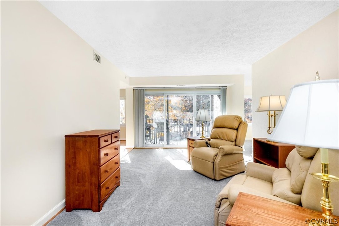1503 Largo Road, Unit 202 Henrico, VA 23238 - Photo 6 of 26 Living Room