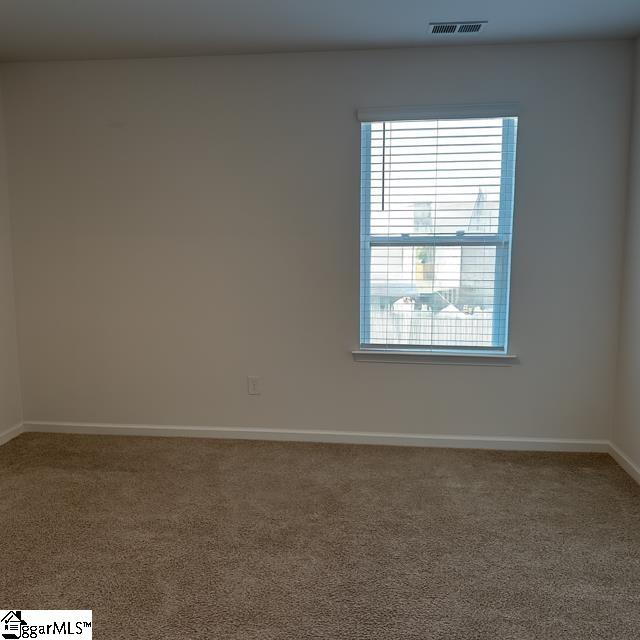 1348 Ledsham Court Greer, SC 29651 - Photo 32 of 34