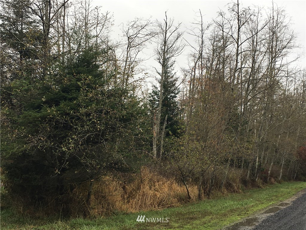 1007 Shipyard Road Anacortes, WA 98221 - Photo 1 of 4