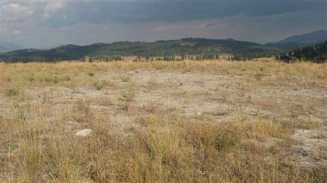 Lot 3 Mahoney Road Colville, WA 99114 - Photo 2 of 8