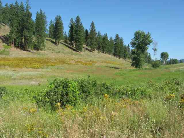Lot 3 Mahoney Road Colville, WA 99114 - Photo 3 of 8