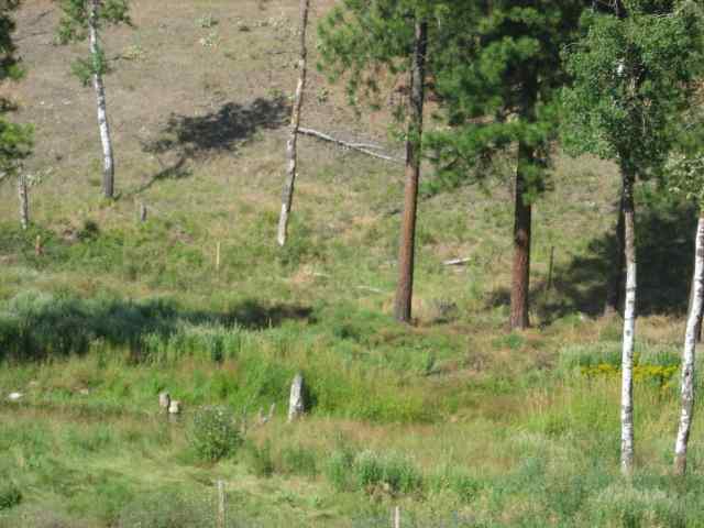 Lot 3 Mahoney Road Colville, WA 99114 - Photo 4 of 8