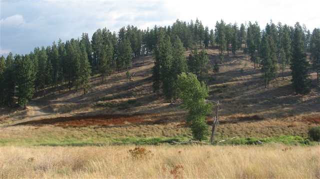 Lot 3 Mahoney Road Colville, WA 99114 - Photo 5 of 8