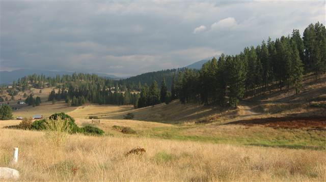 Lot 3 Mahoney Road Colville, WA 99114 - Photo 6 of 8