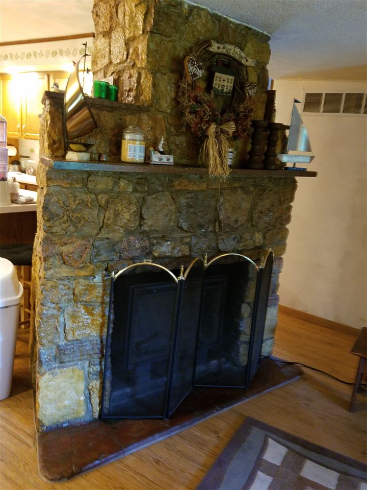 1101 East Spring Creek Road Oregon, IL 61061 - Photo 14 of 22 a closeup of a fireplace with wooden floor