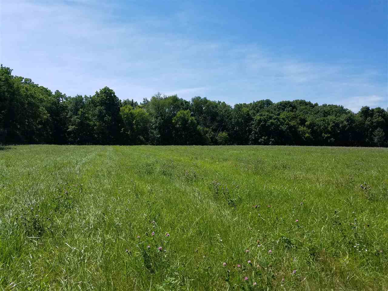 1101 East Spring Creek Road Oregon, IL 61061 - Photo 22 of 22 a backyard of a house with lots of green space and mountain view