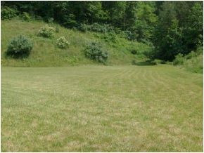 11442 Riverview Road Coeburn, VA 24230 - Photo 1 of 1 Photo 1