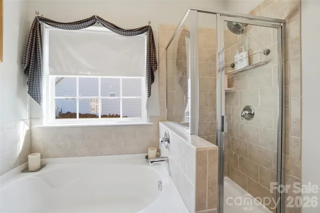 a bathroom with a bathtub and a shower