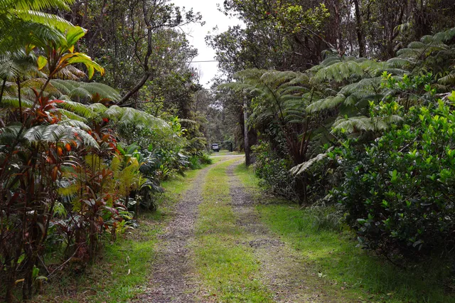 $398,000 | 11-3138 Pa Alii Street, Volcano, HI 96771