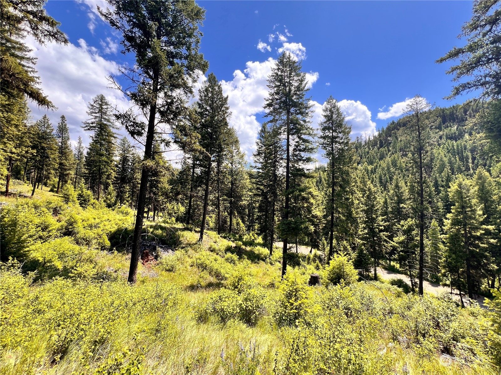 -tbd Old Kettle Falls Road Republic, WA 99166 - Photo 2 of 26 Gallery Image 2