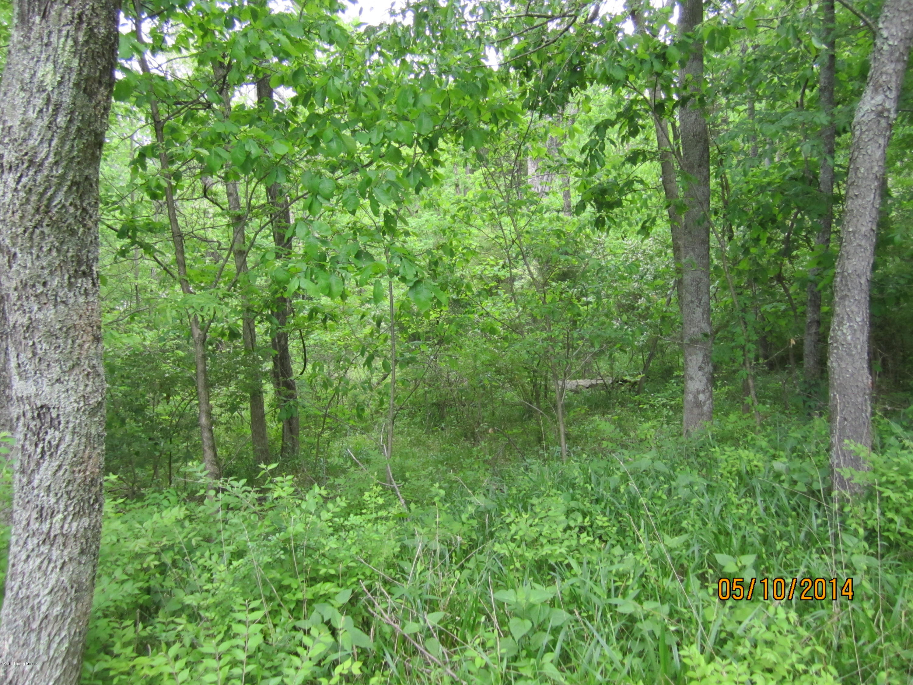 8 Callis Pendleton, KY 40055 - Photo 7 of 14 IMG_4811