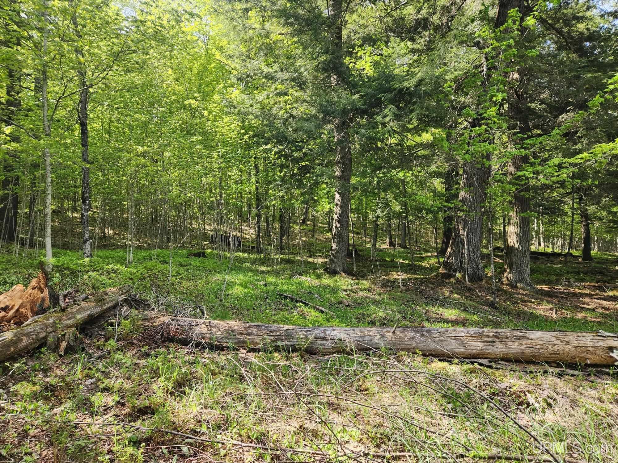 Lot 20 University Road Iron River, MI 49935 - Photo 8 of 23 Gallery Image 8