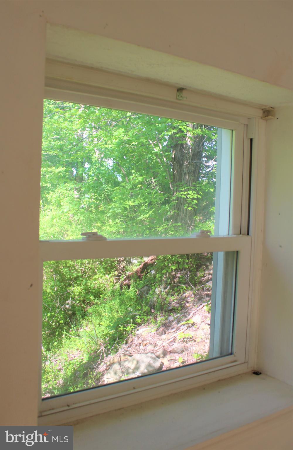 58 Chester Gap Road Chester Gap, VA 22623 - Photo 74 of 97 Gallery Image 74