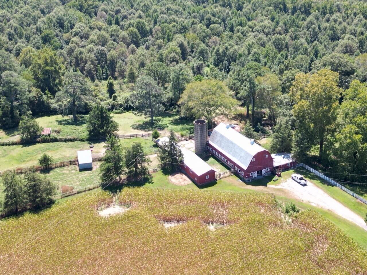 300 Rawlsdale Road Franklin, VA 23851 - Photo 10 of 15 DJI_0745