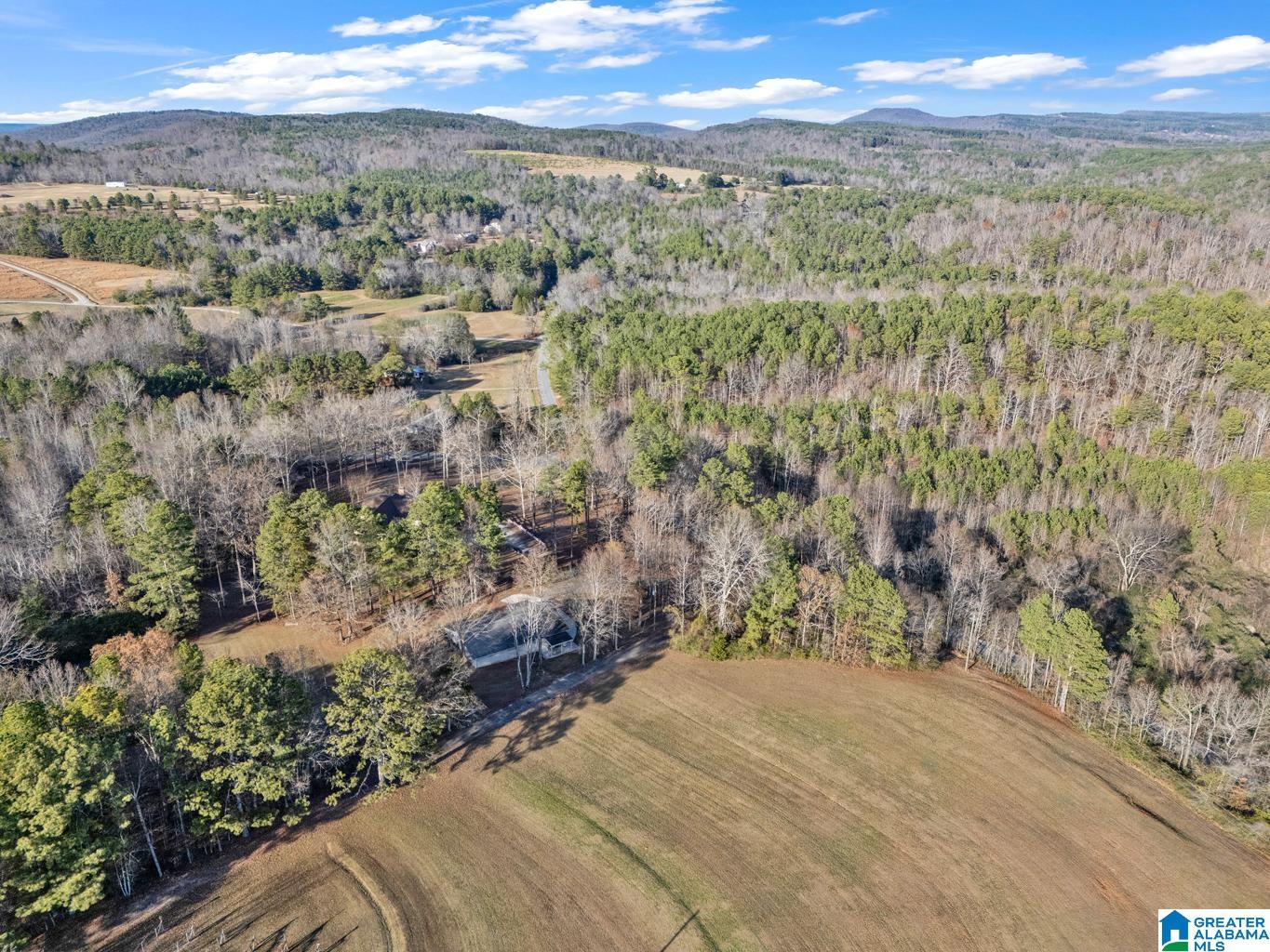 1163 Cox Cove Road Hayden, AL 35079 - Photo 2 of 48