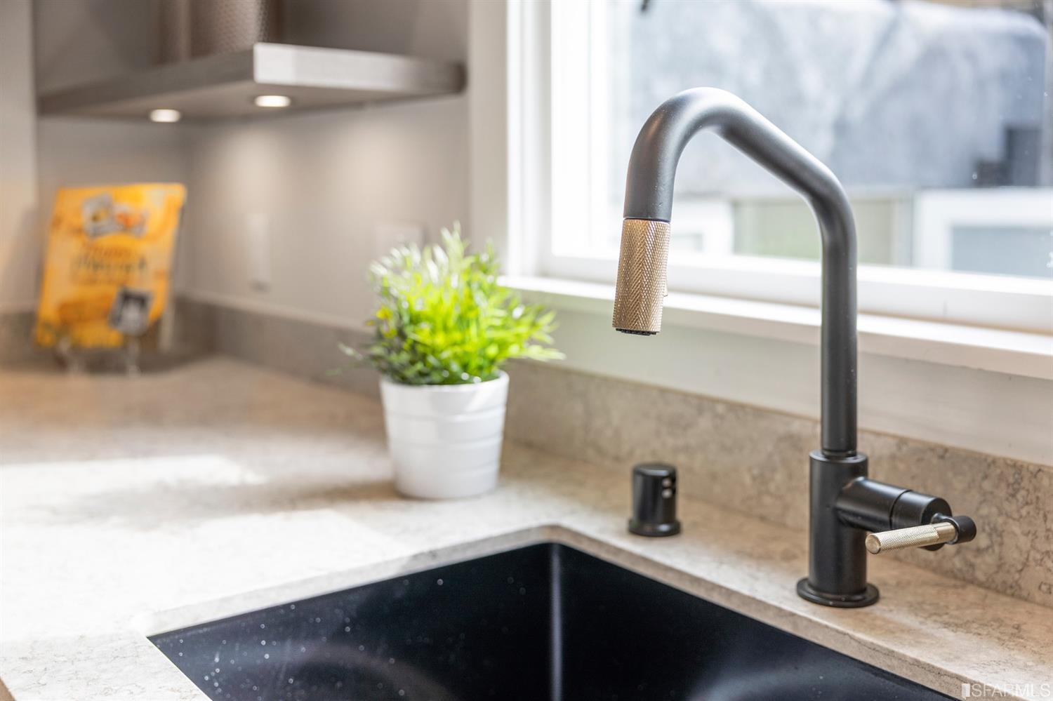 2935 Acton Street Berkeley, CA 94702 - Photo 16 of 63 a view of a potted plant with a sink
