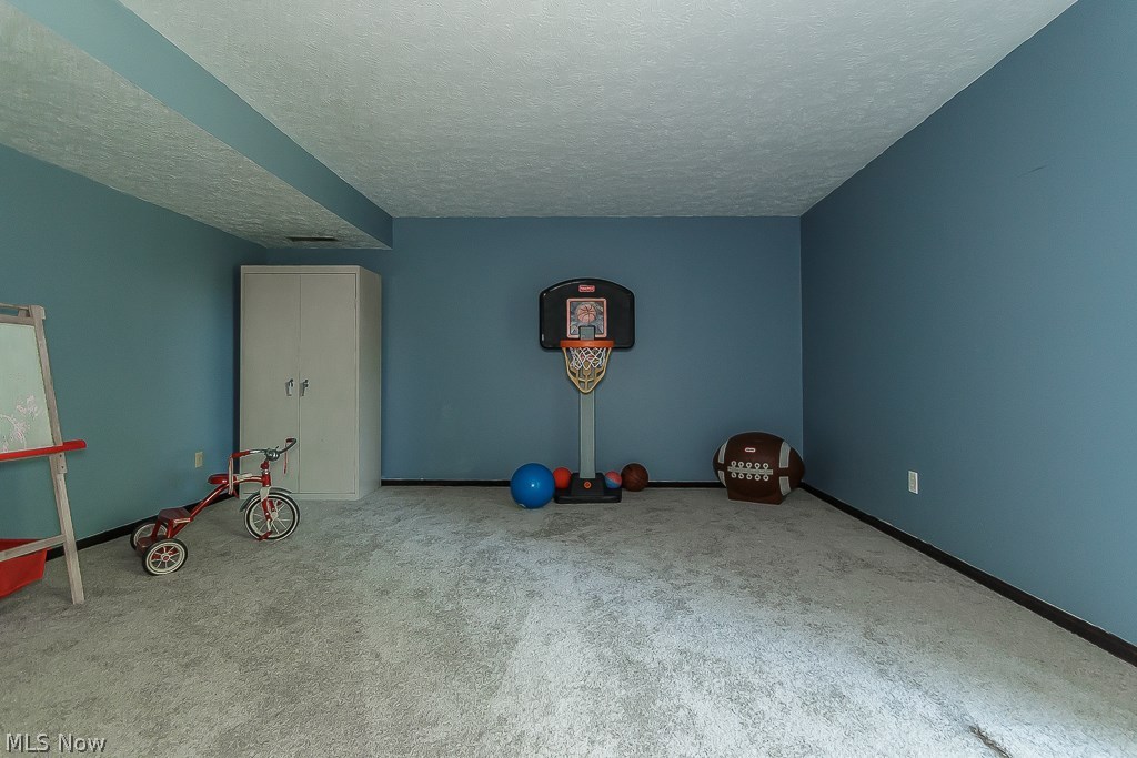 10189 Hoose Road Mentor, OH 44060 - Photo 30 of 34 Gallery Image 30