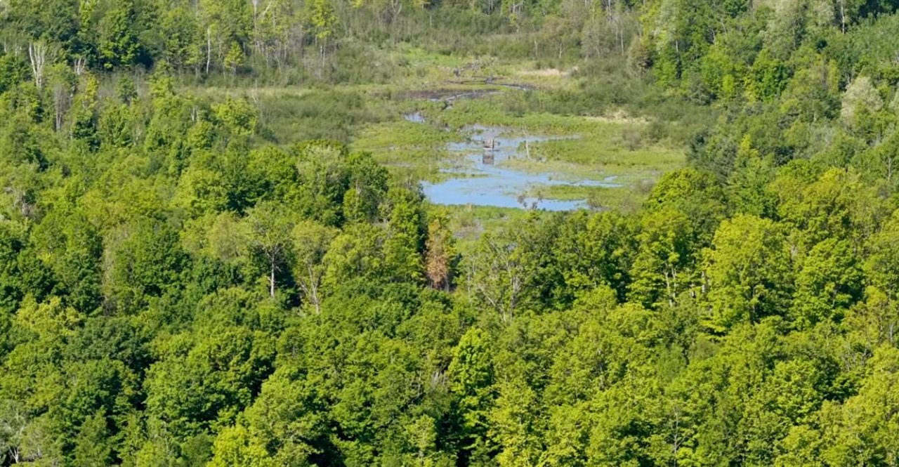0 20 20 Mile Road Marion, MI 49665 - Photo 11 of 28