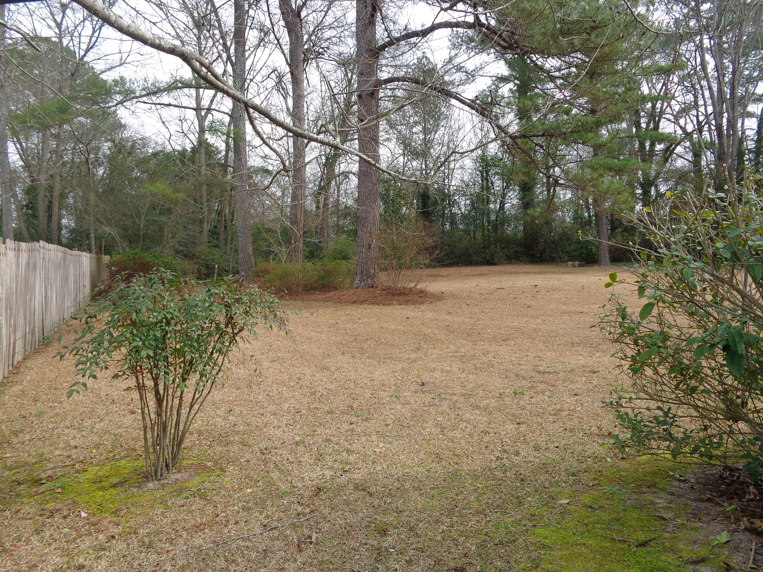 320 Lawson Lane Rockingham, NC 28379 - Photo 14 of 17 Huge back yard.