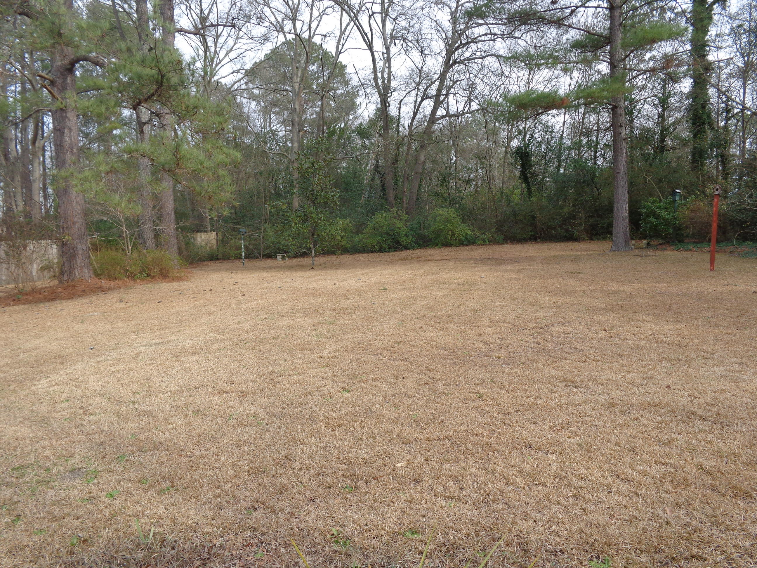 320 Lawson Lane Rockingham, NC 28379 - Photo 16 of 17 Lots of space and play area in back yard.
