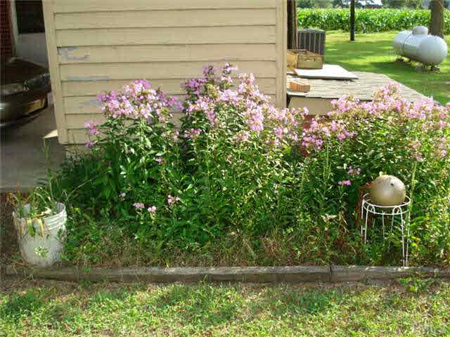 2157 Green Path Road Dunn, NC 28334 - Photo 24 of 25