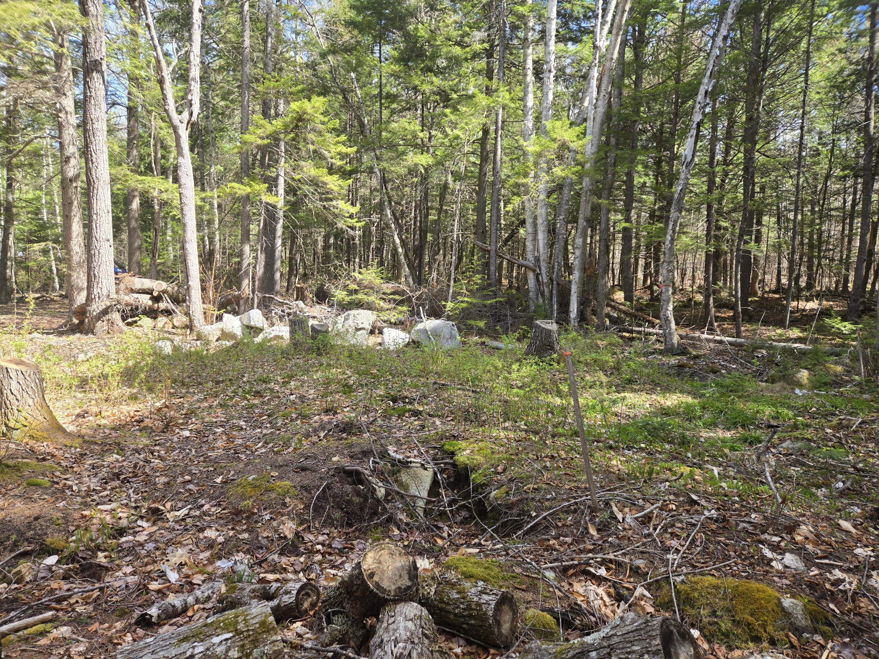 146 Thoroughfare Road Island Falls, ME 04747 - Photo 14 of 28 20260513_102743