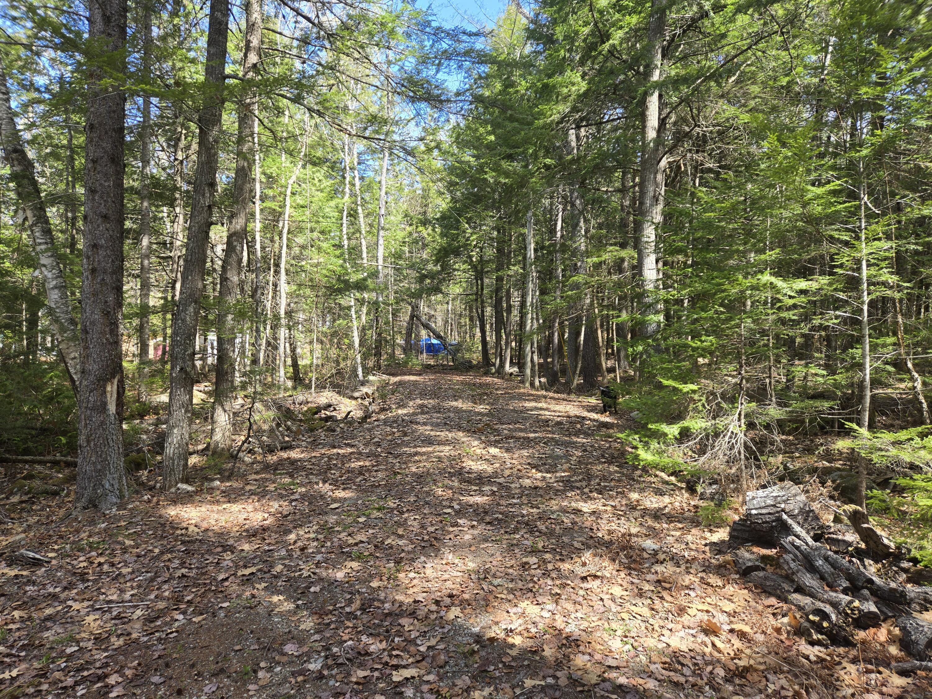 146 Thoroughfare Road Island Falls, ME 04747 - Photo 15 of 28 20260513_103828