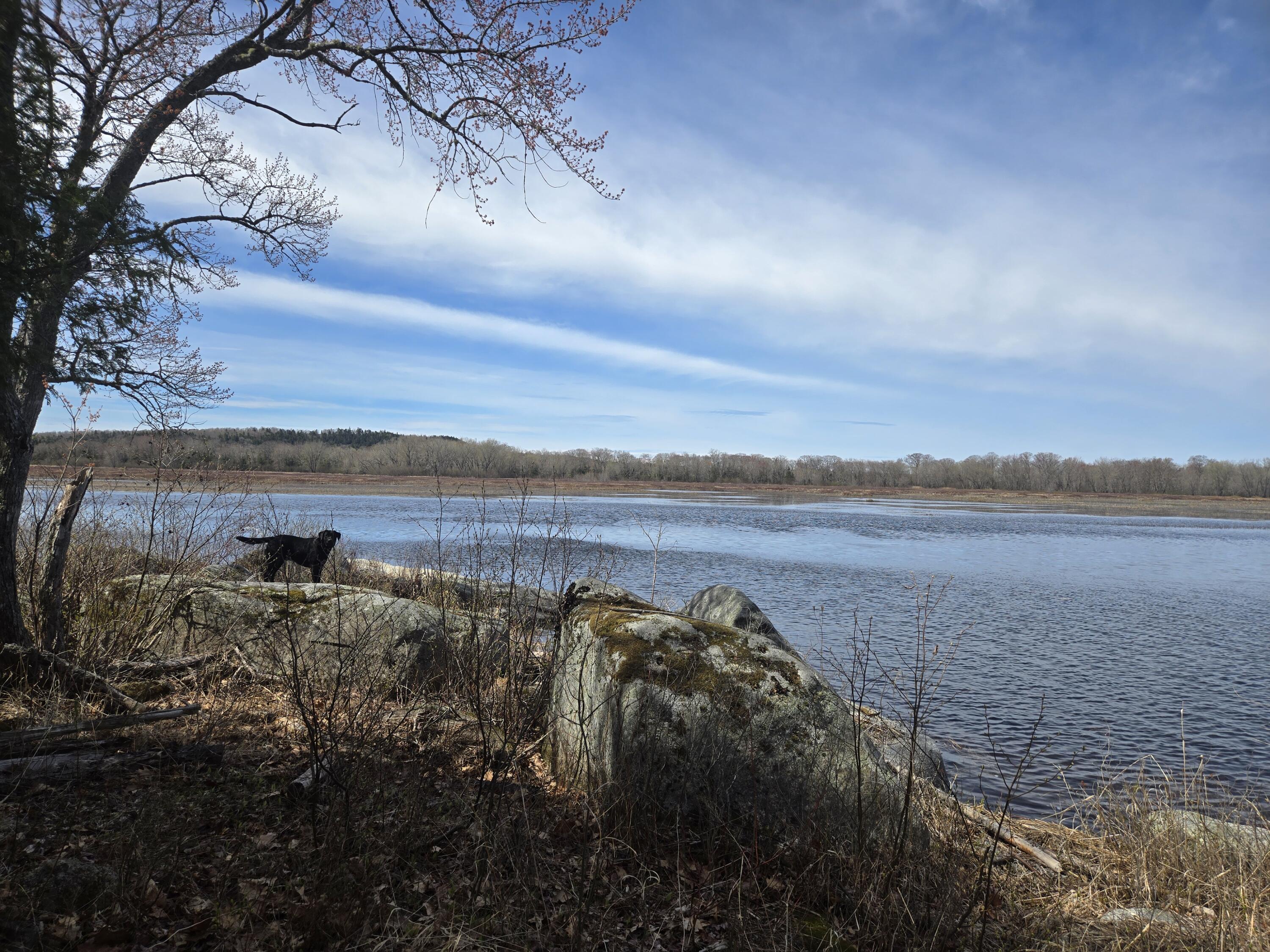 146 Thoroughfare Road Island Falls, ME 04747 - Photo 7 of 28 20260513_103628