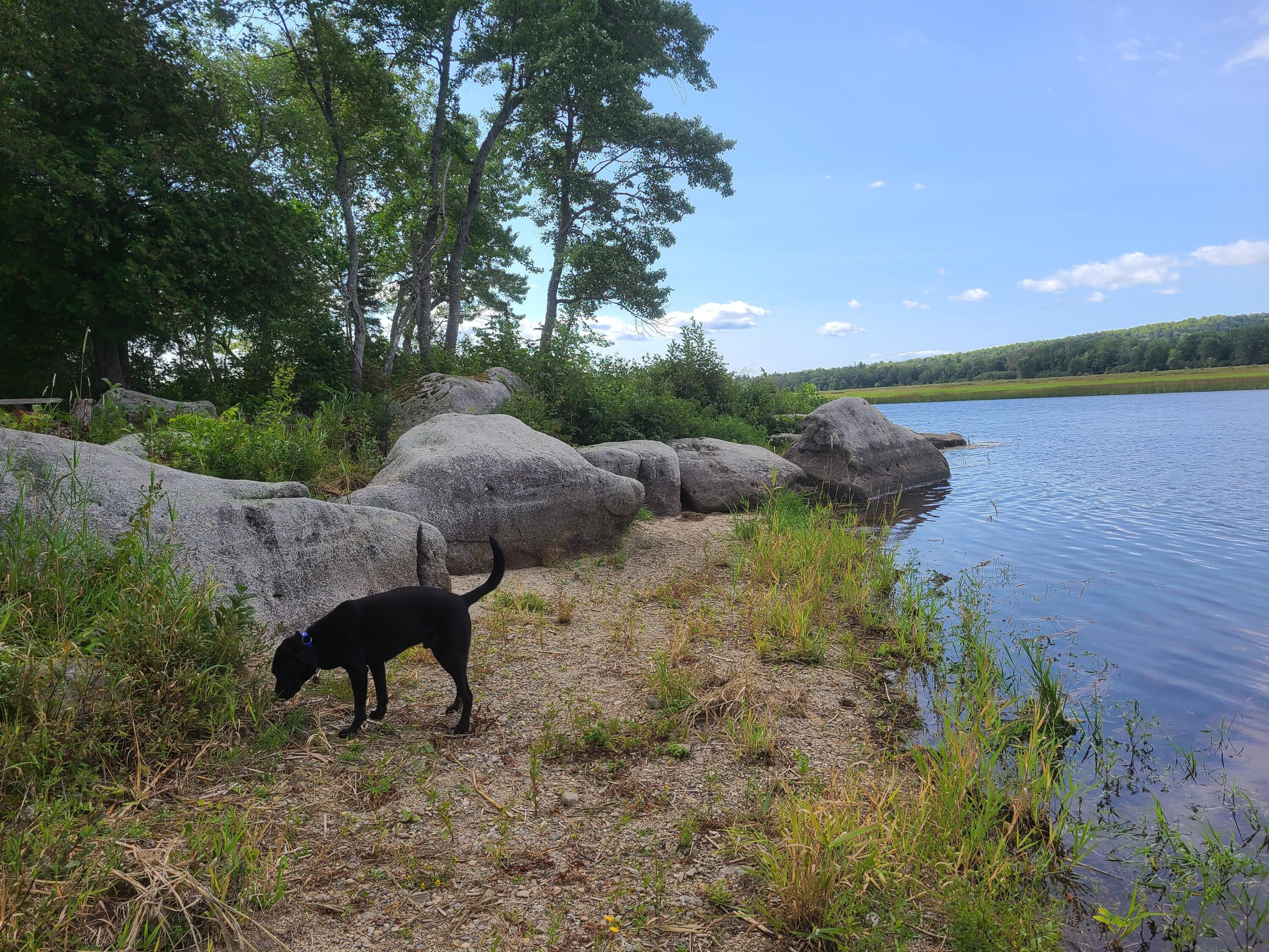 146 Thoroughfare Road Island Falls, ME 04747 - Photo 8 of 28 20210827_100641