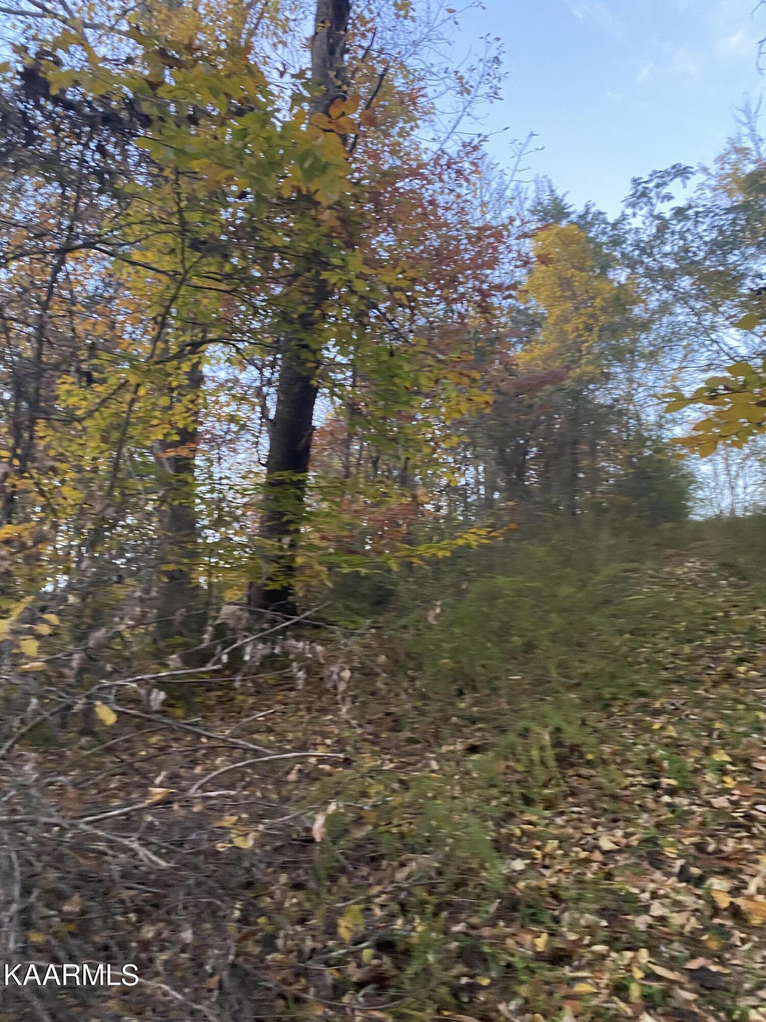 Chestnut Ridge Walland, TN 37886 - Photo 8 of 16 Lot 17 near top