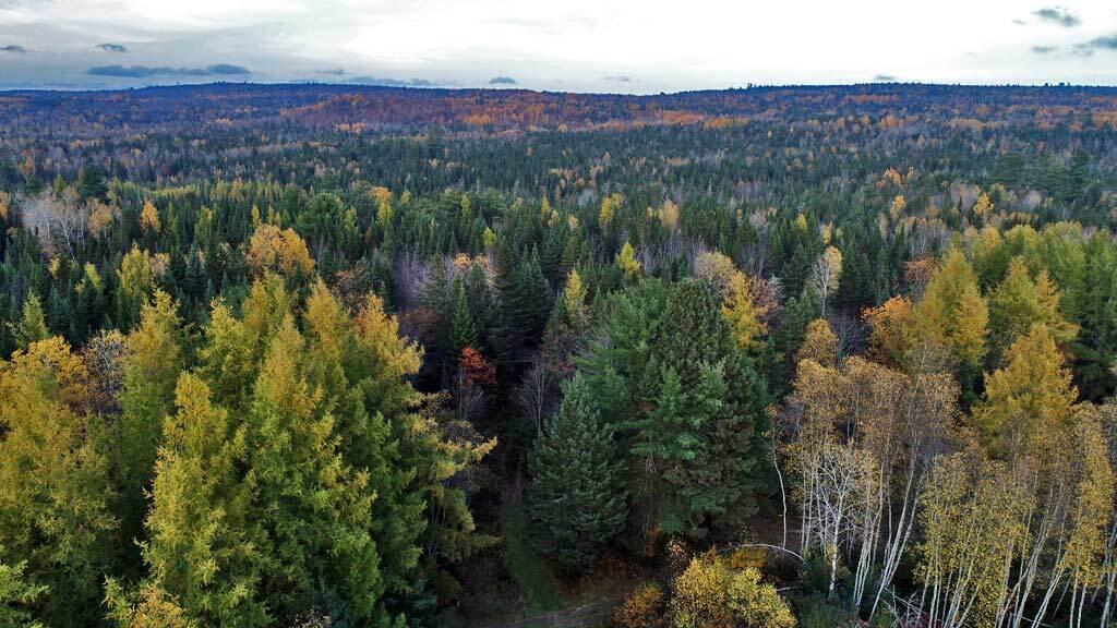 236 Calais Road Danforth, ME 04424 - Photo 13 of 53 wood-land-maine-danforth