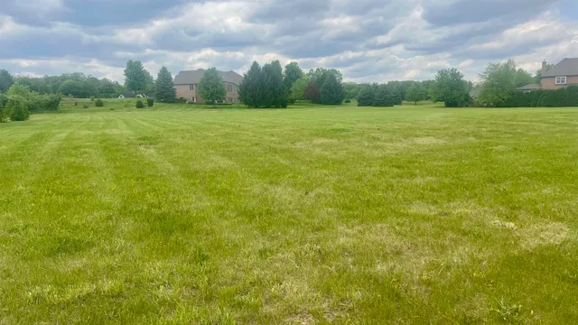 a view of field with lots of trees in the background